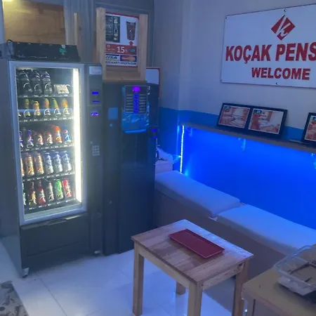 Проживание в семье Kocak Стамбул