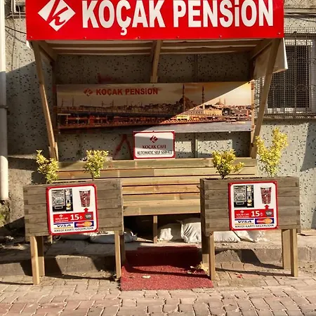 Kocak Проживание в семье