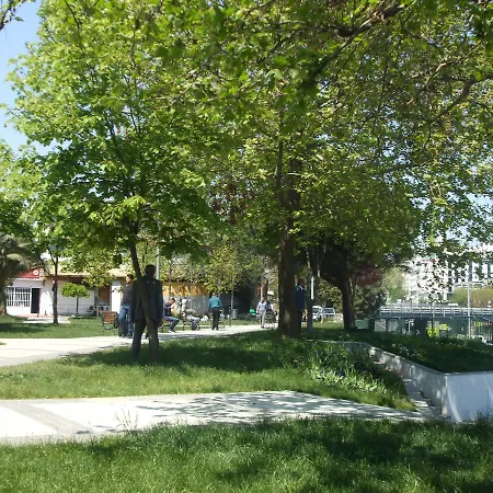 科恰克民宿 民宿