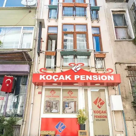 Kocak Проживание в семье *