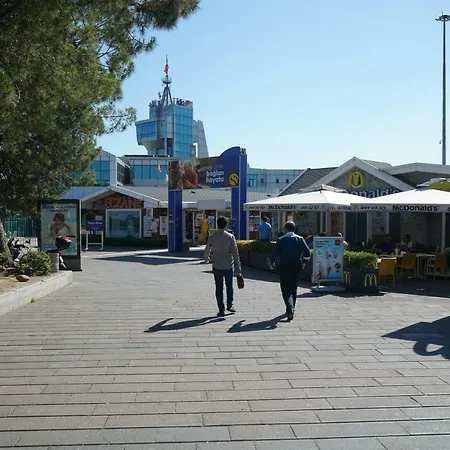 Проживание в семье Kocak